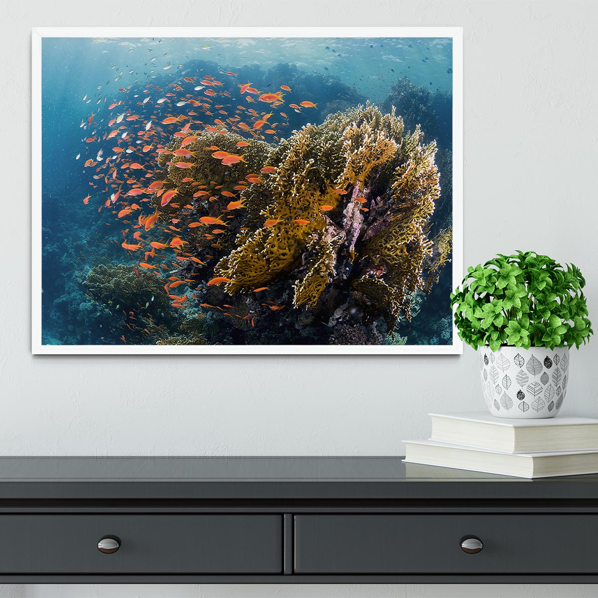 Reefscape Framed Print - Canvas Art Rocks -6
