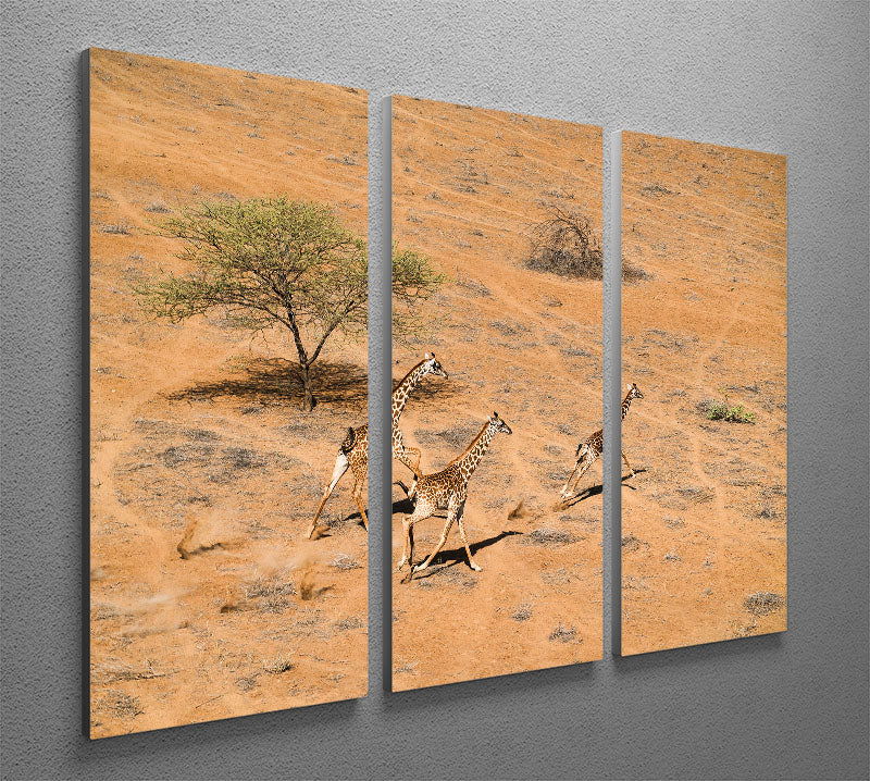 Giraffe Family Paradise 3 Split Panel Canvas Print - Canvas Art Rocks - 2
