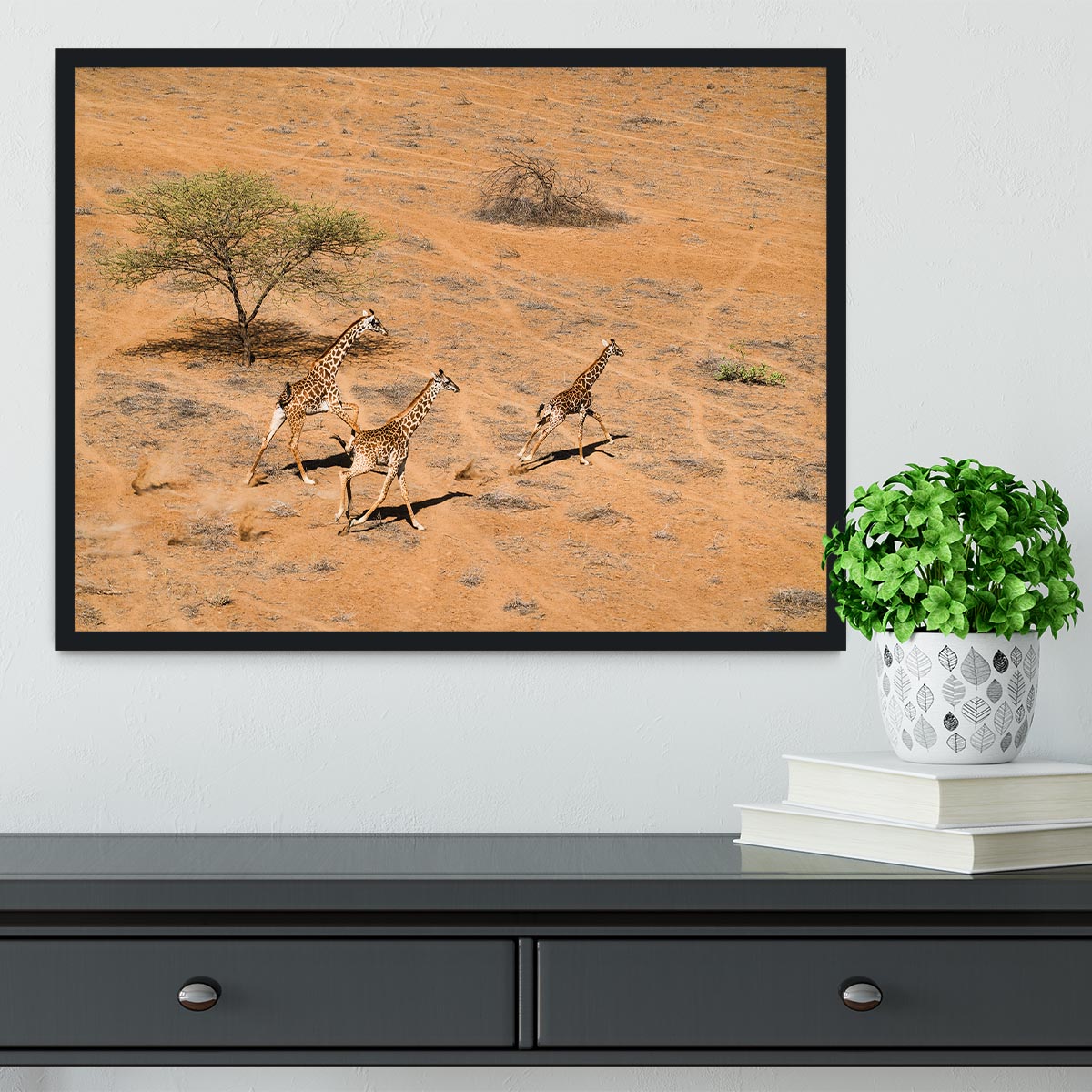 Giraffe Family Paradise Framed Print - Canvas Art Rocks - 2