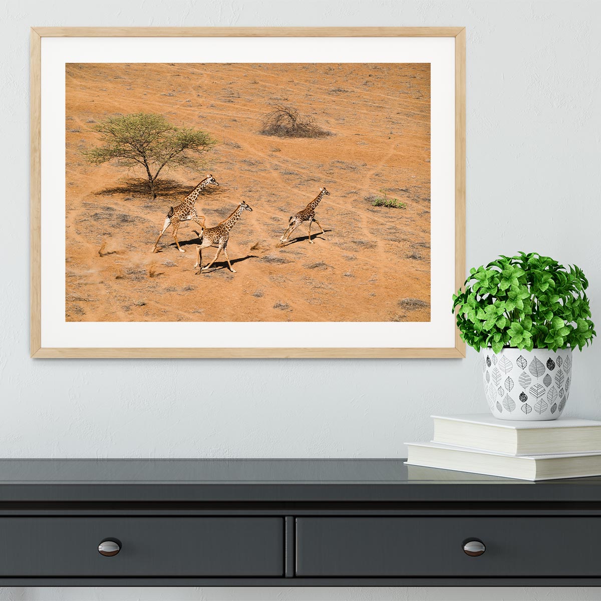 Giraffe Family Paradise Framed Print - Canvas Art Rocks - 3