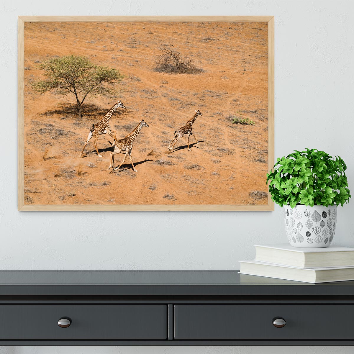 Giraffe Family Paradise Framed Print - Canvas Art Rocks - 4