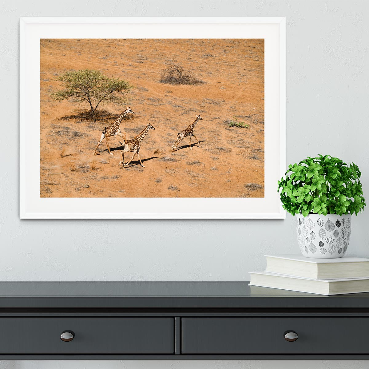 Giraffe Family Paradise Framed Print - Canvas Art Rocks - 5