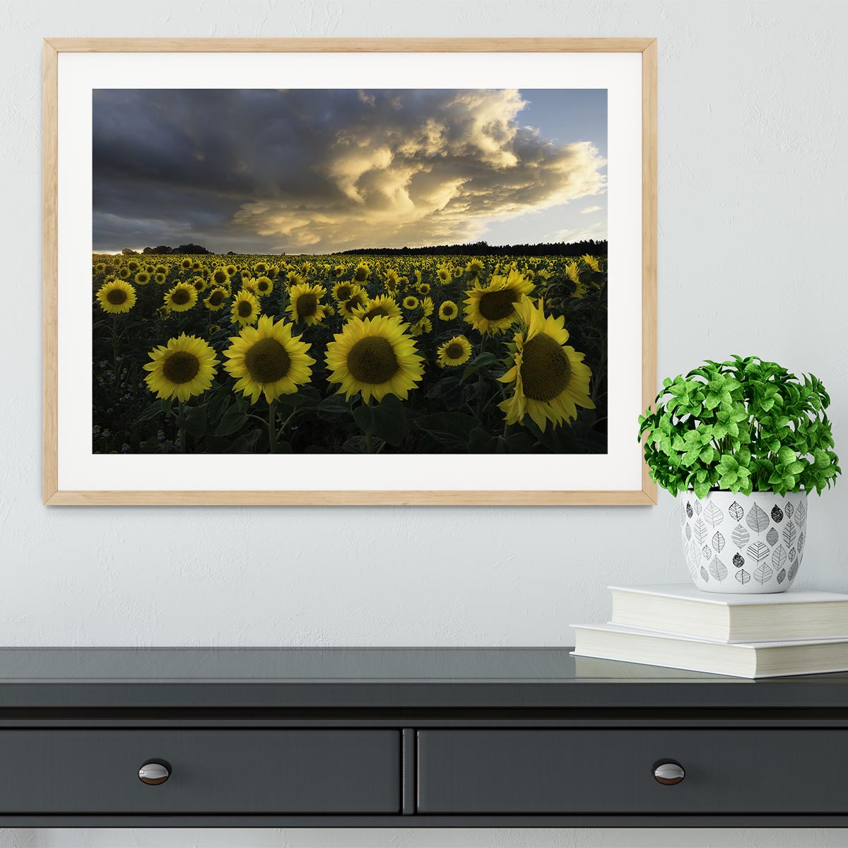 Sunflowers In Sweden Framed Print - Canvas Art Rocks - 3