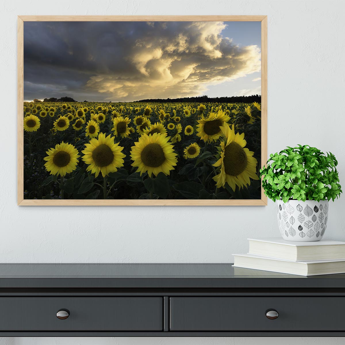 Sunflowers In Sweden Framed Print - Canvas Art Rocks - 4