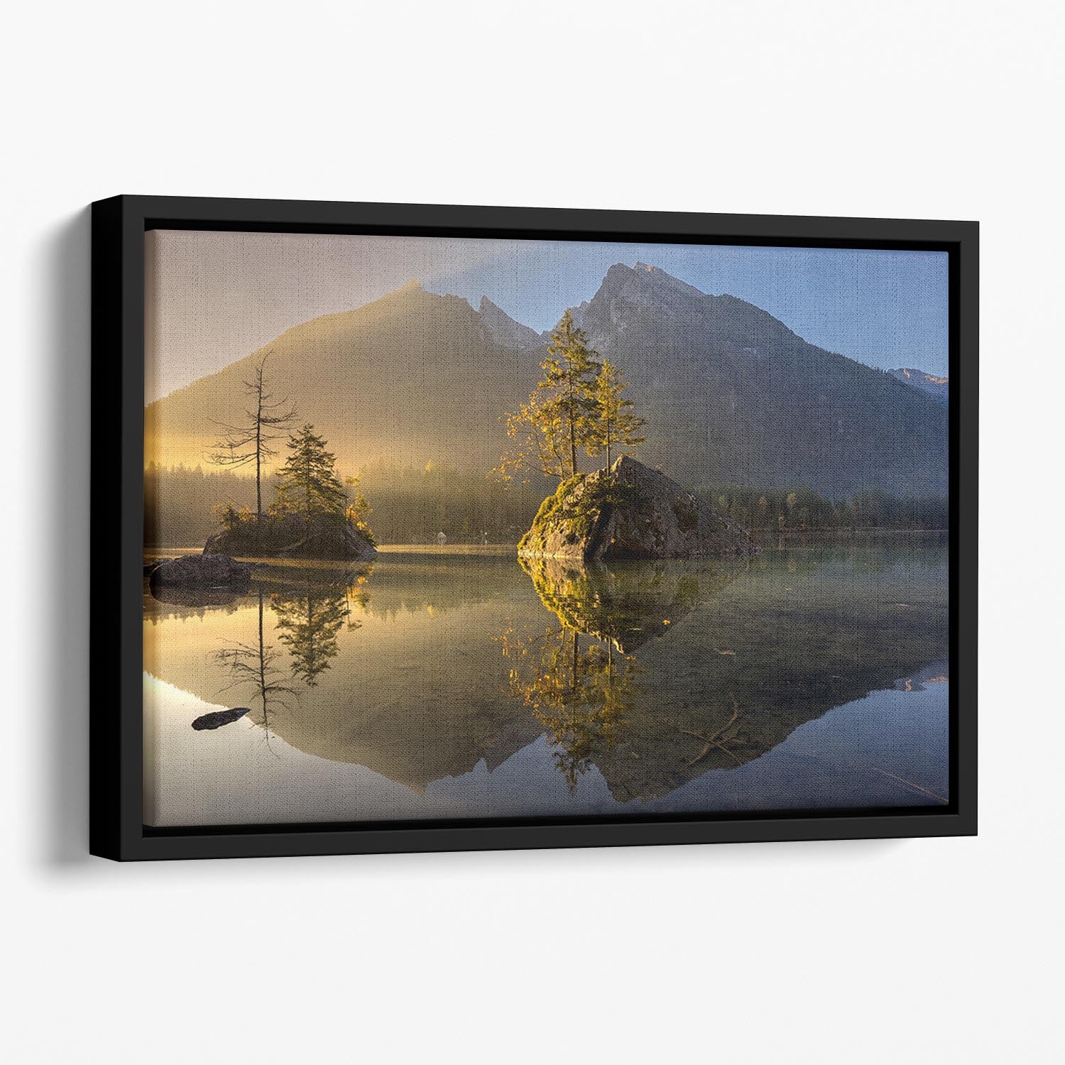 Golden Morning Floating Framed Canvas - Canvas Art Rocks - 1