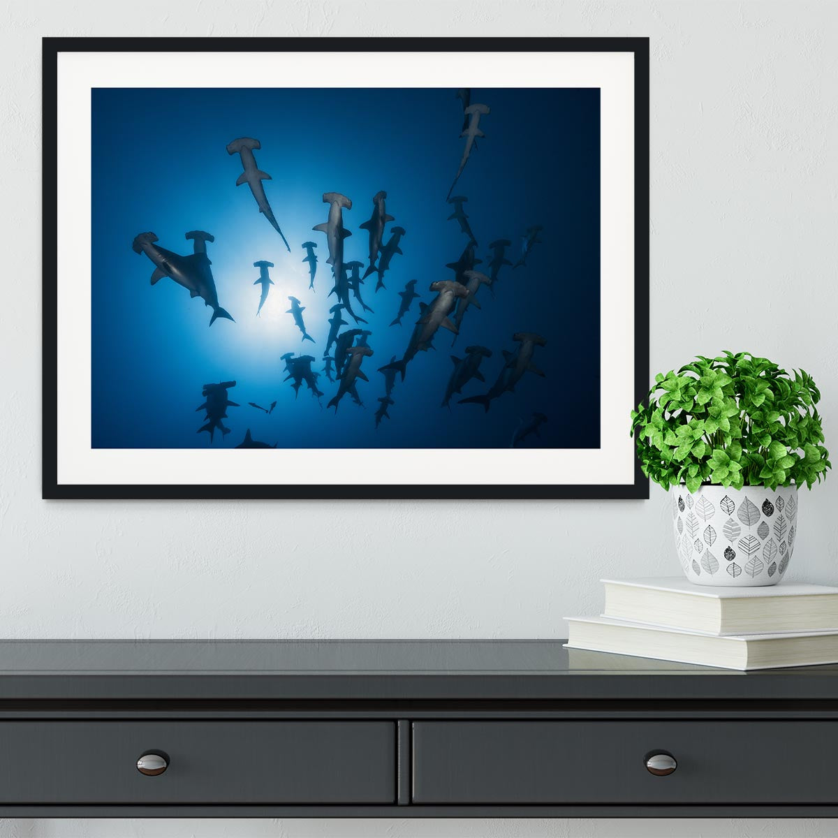 Hammerhead Shark 2 Framed Print - Canvas Art Rocks - 1