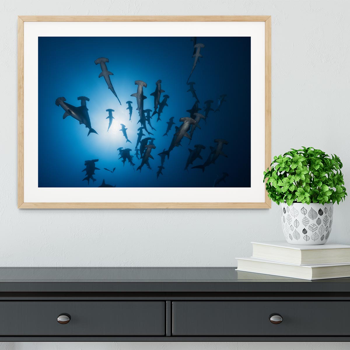 Hammerhead Shark 2 Framed Print - Canvas Art Rocks - 3