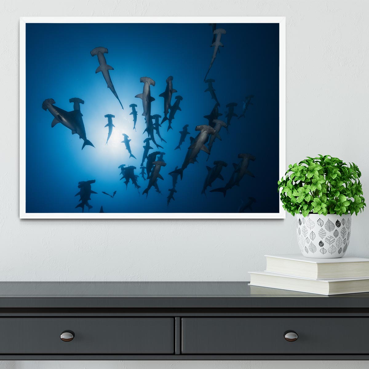 Hammerhead Shark 2 Framed Print - Canvas Art Rocks -6
