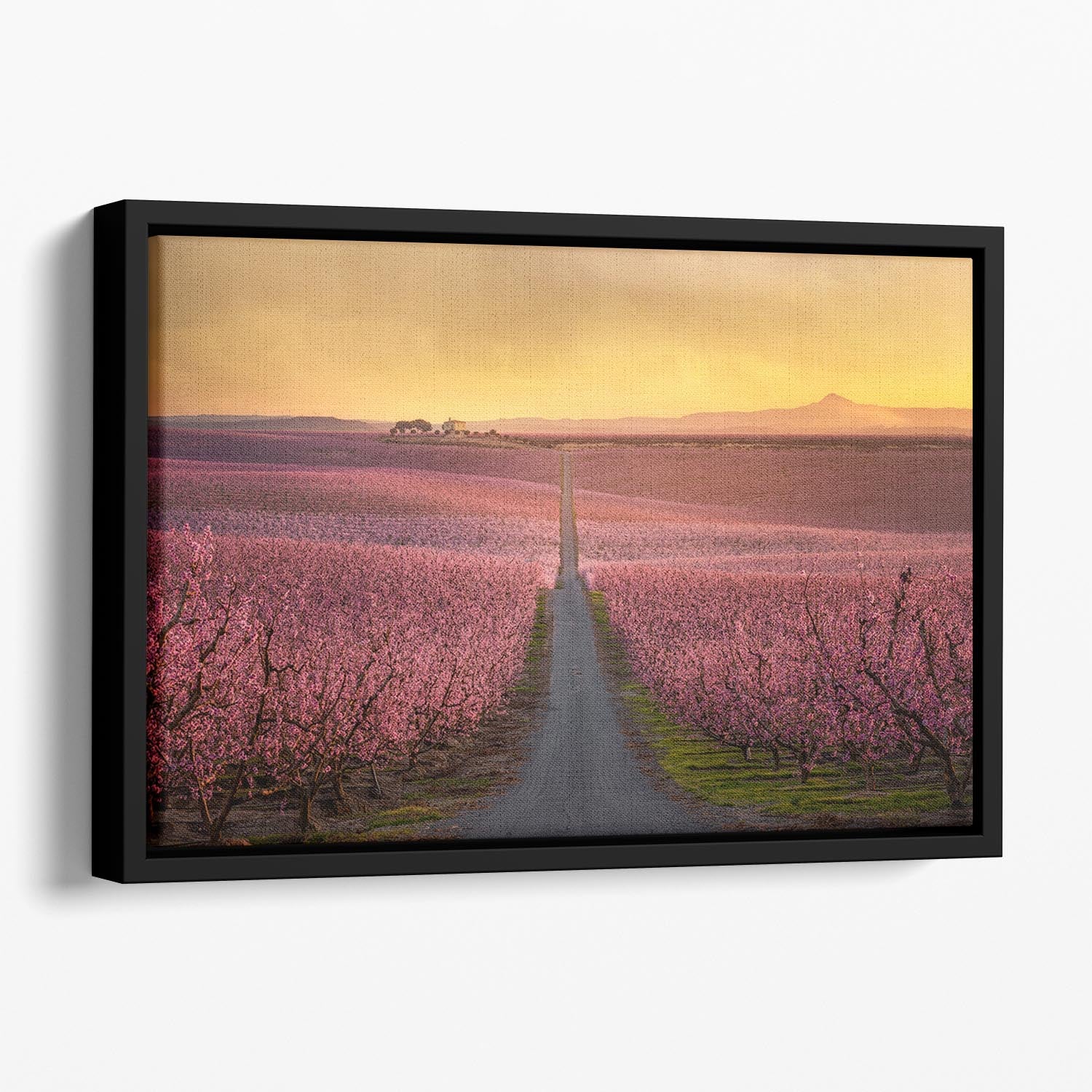 Flowering Floating Framed Canvas - Canvas Art Rocks - 1