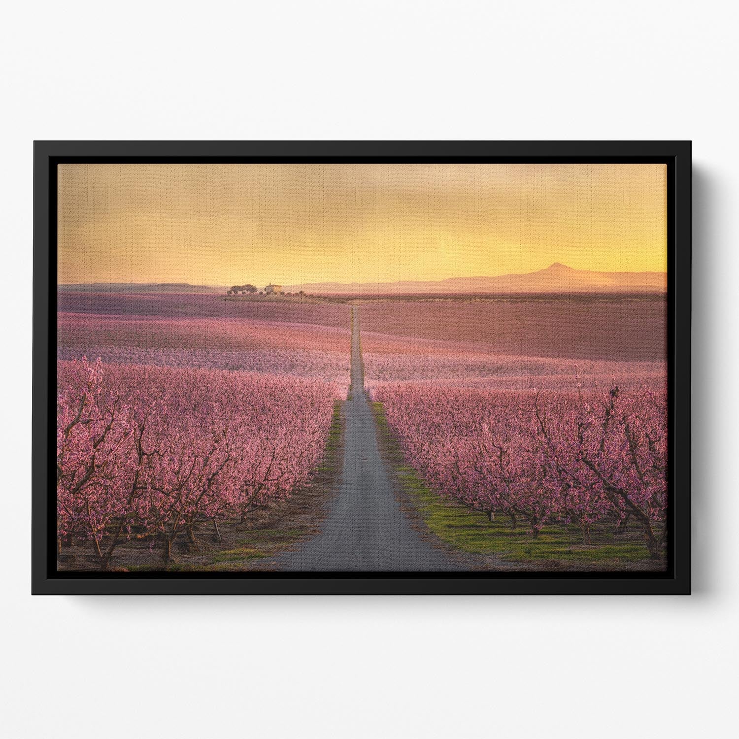 Flowering Floating Framed Canvas - Canvas Art Rocks - 2