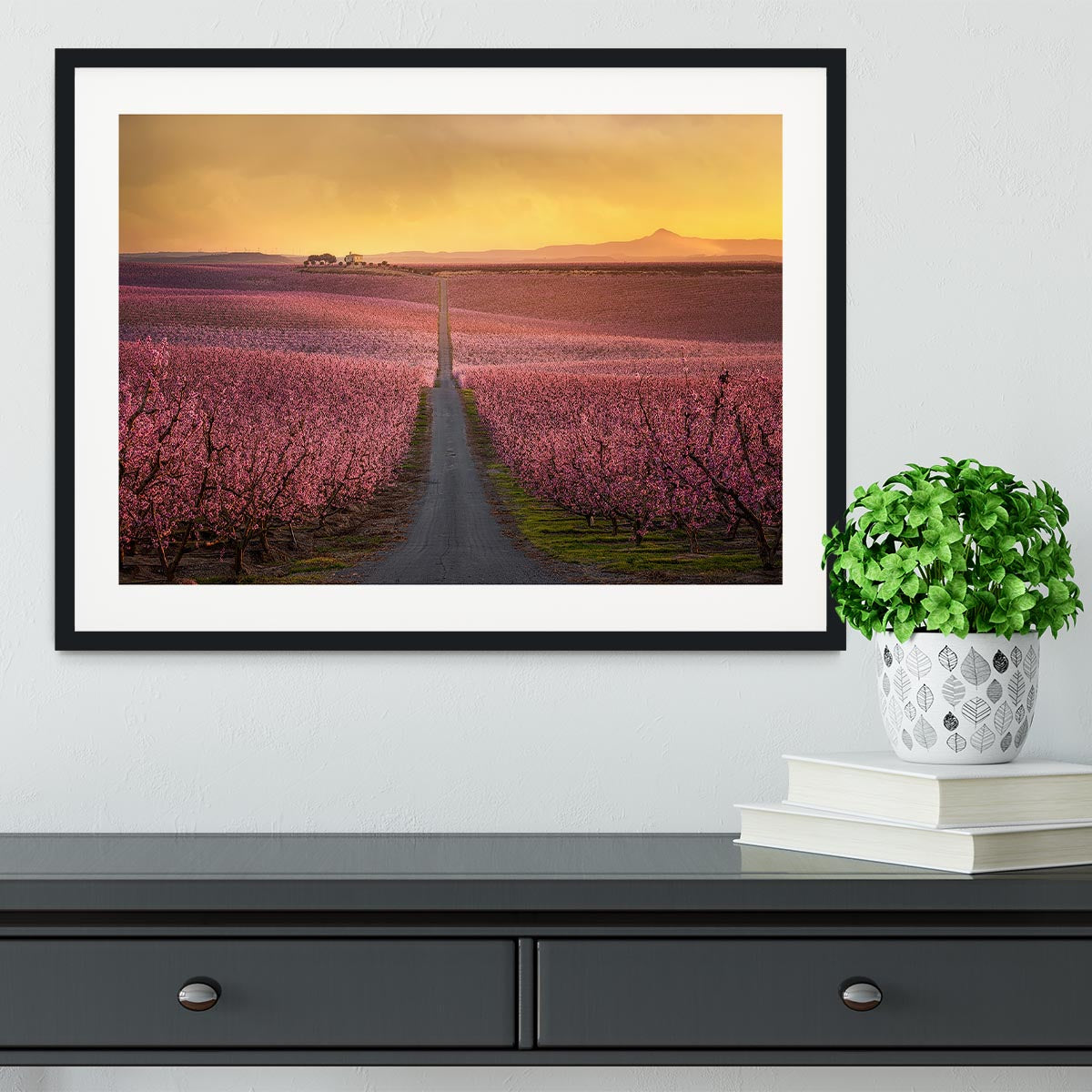 Flowering Framed Print - Canvas Art Rocks - 1