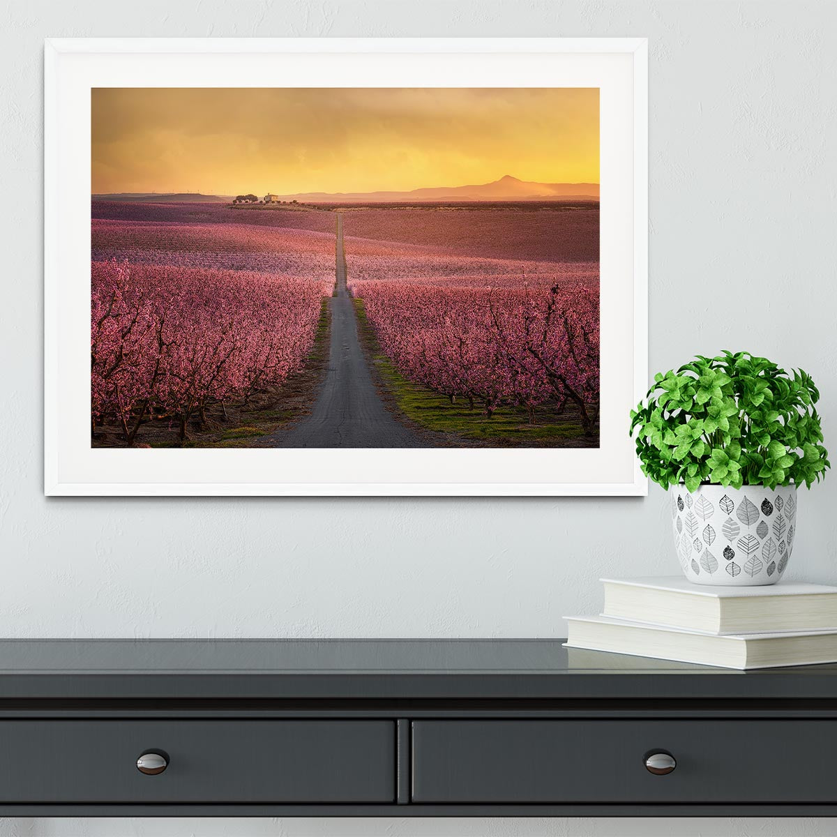 Flowering Framed Print - Canvas Art Rocks - 5