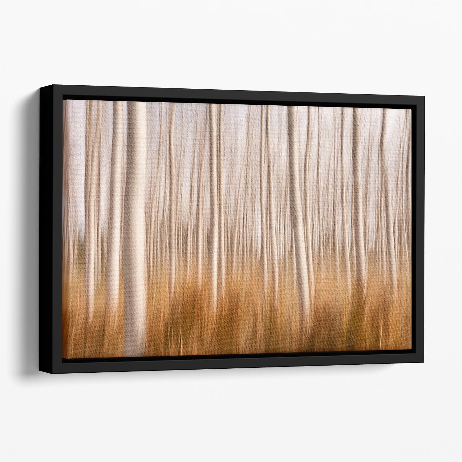 Spring Impressions In A Poplar Fields Floating Framed Canvas - Canvas Art Rocks - 1