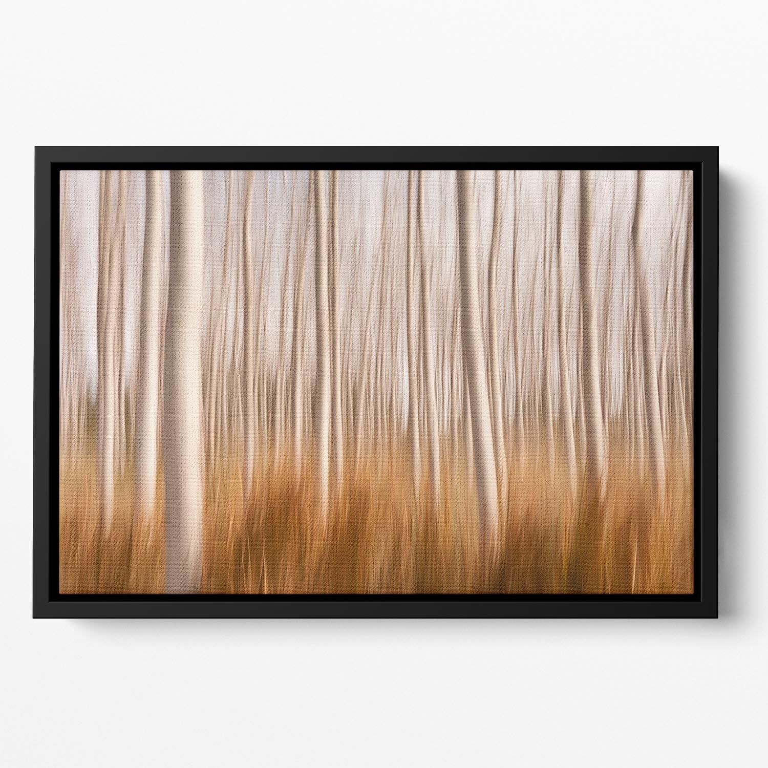 Spring Impressions In A Poplar Fields Floating Framed Canvas - Canvas Art Rocks - 2