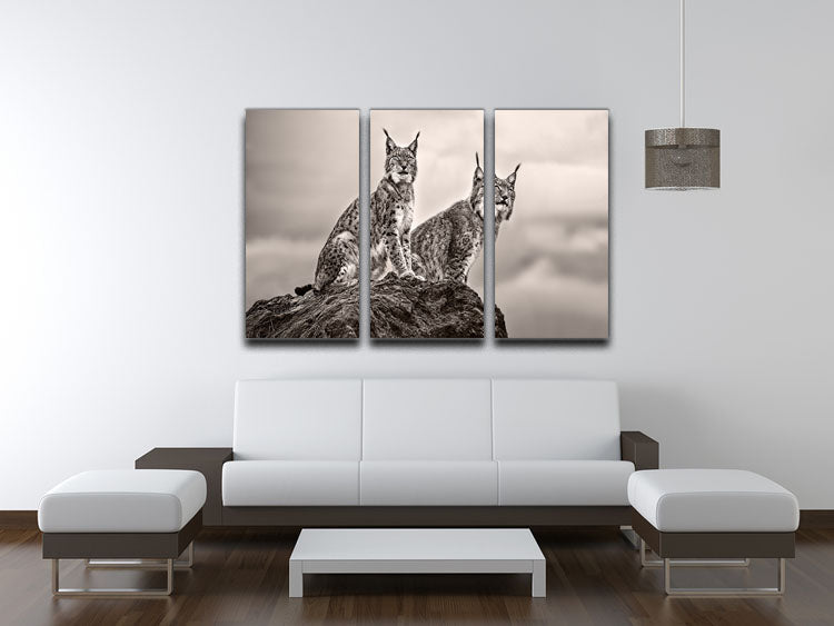 Two Lynx on rock 3 Split Panel Canvas Print - Canvas Art Rocks - 3