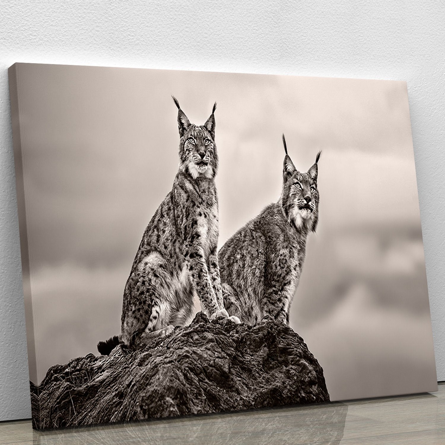 Two Lynx on rock Canvas Print or Poster - Canvas Art Rocks - 1