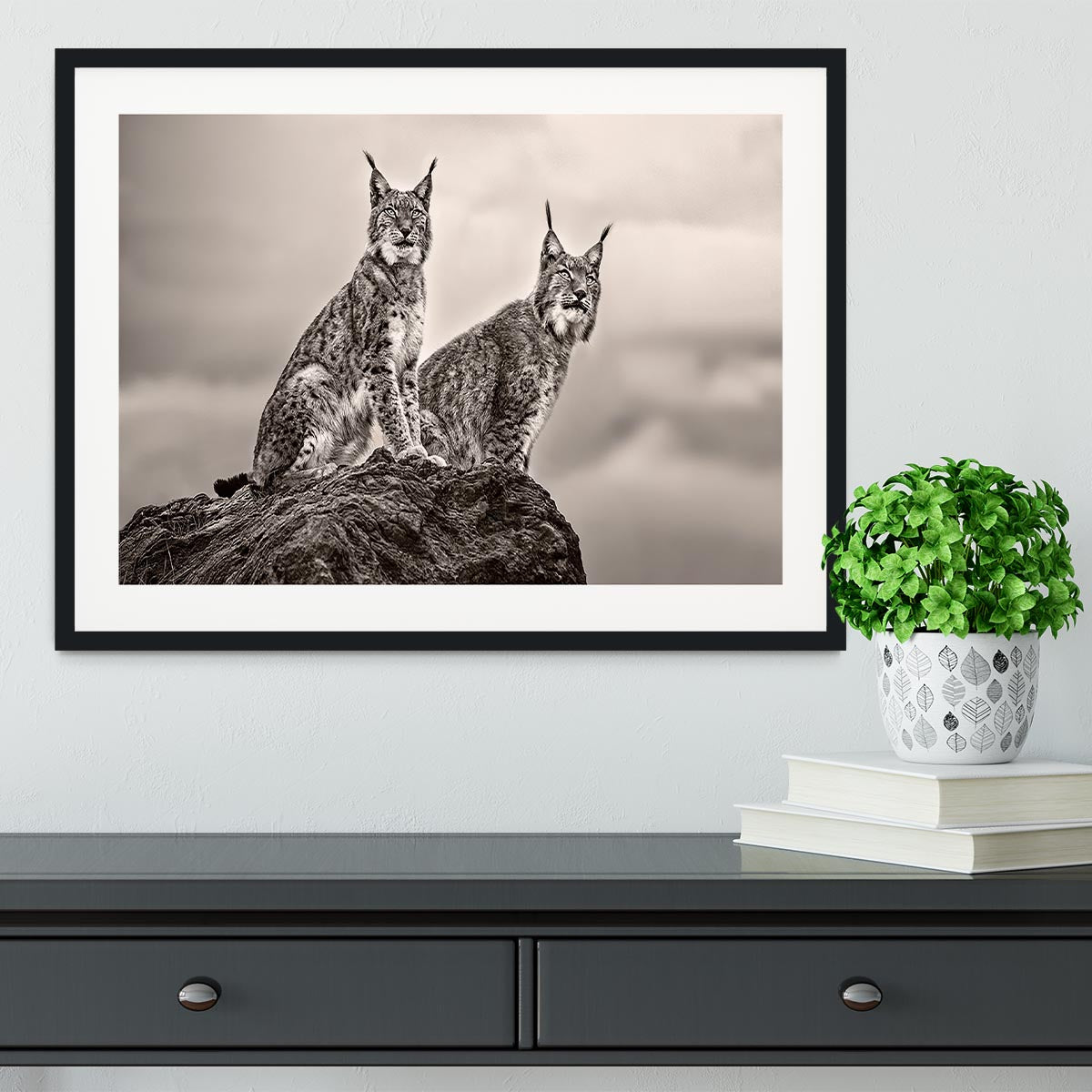 Two Lynx on rock Framed Print - Canvas Art Rocks - 1