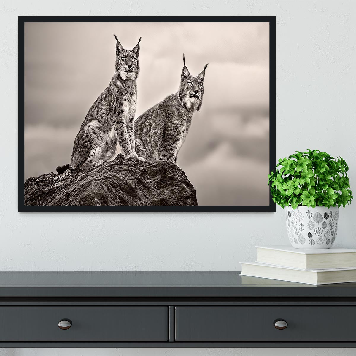 Two Lynx on rock Framed Print - Canvas Art Rocks - 2