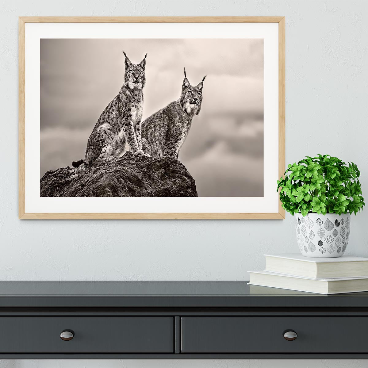 Two Lynx on rock Framed Print - Canvas Art Rocks - 3