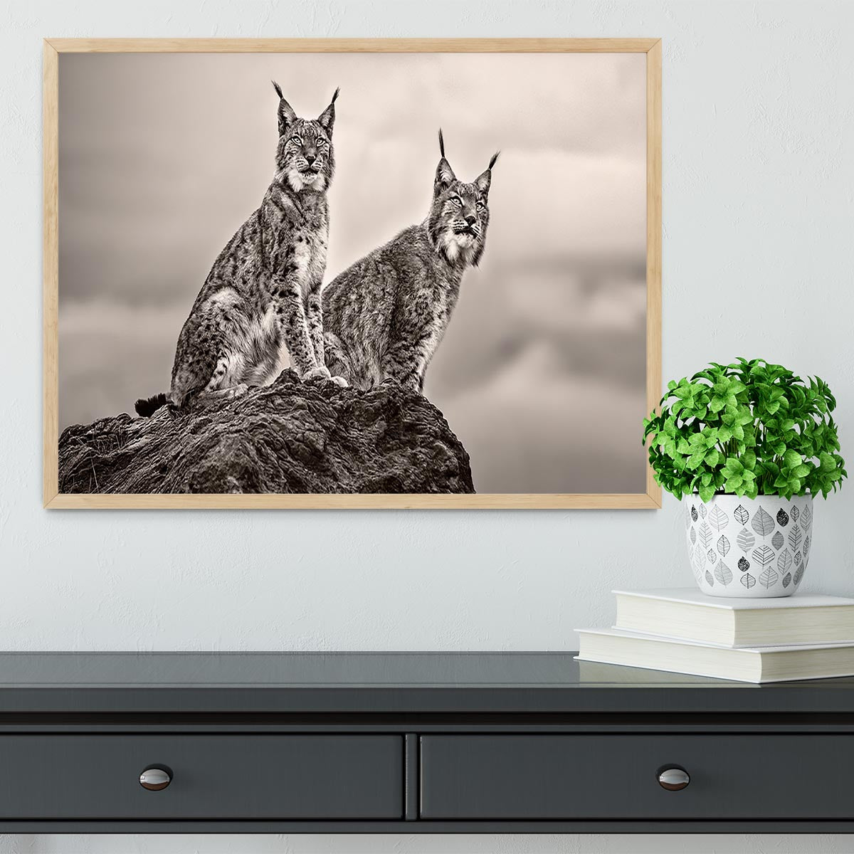 Two Lynx on rock Framed Print - Canvas Art Rocks - 4