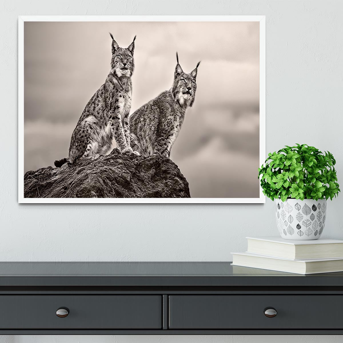 Two Lynx on rock Framed Print - Canvas Art Rocks -6