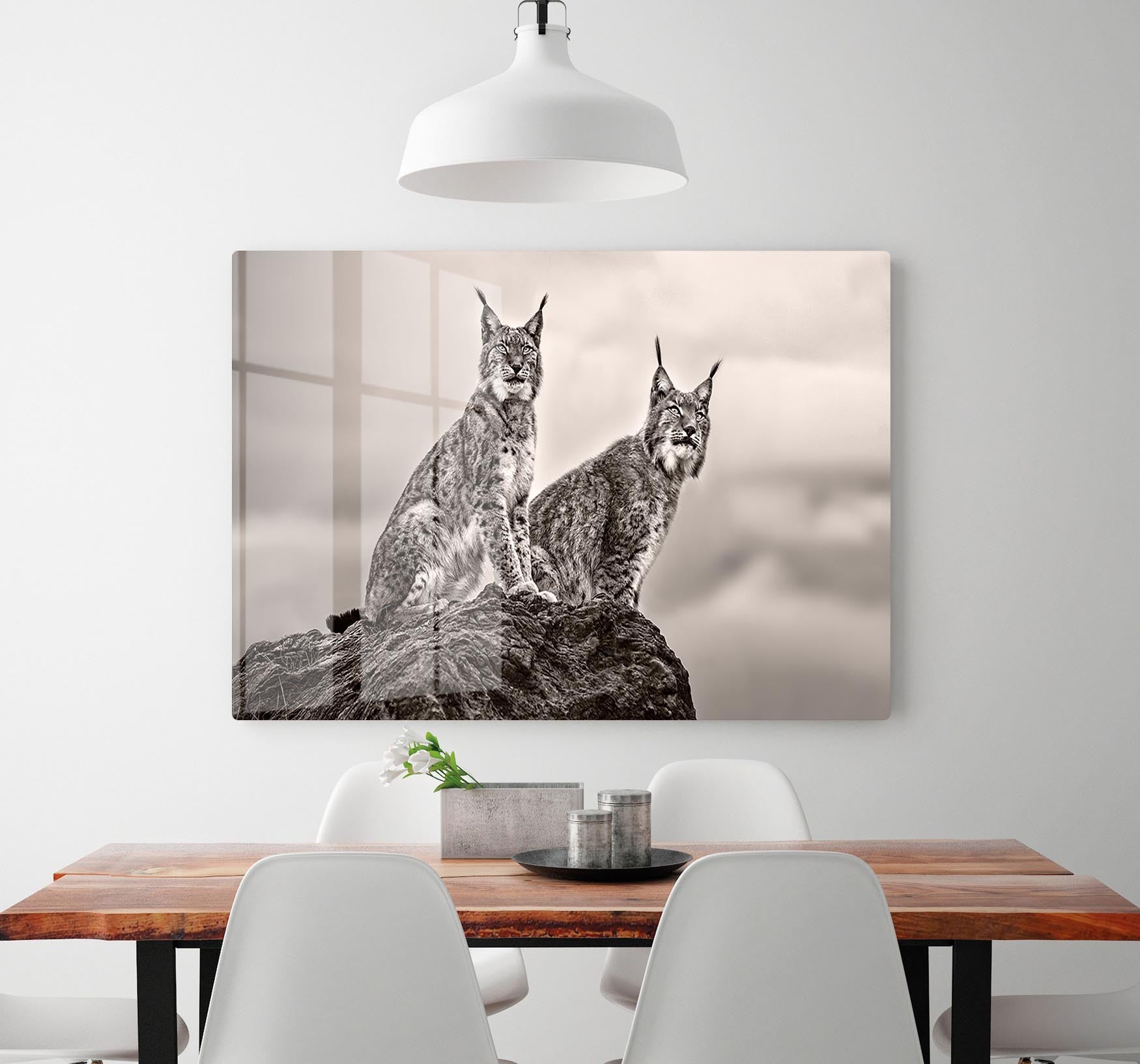 Two Lynx on rock HD Metal Print - Canvas Art Rocks - 2