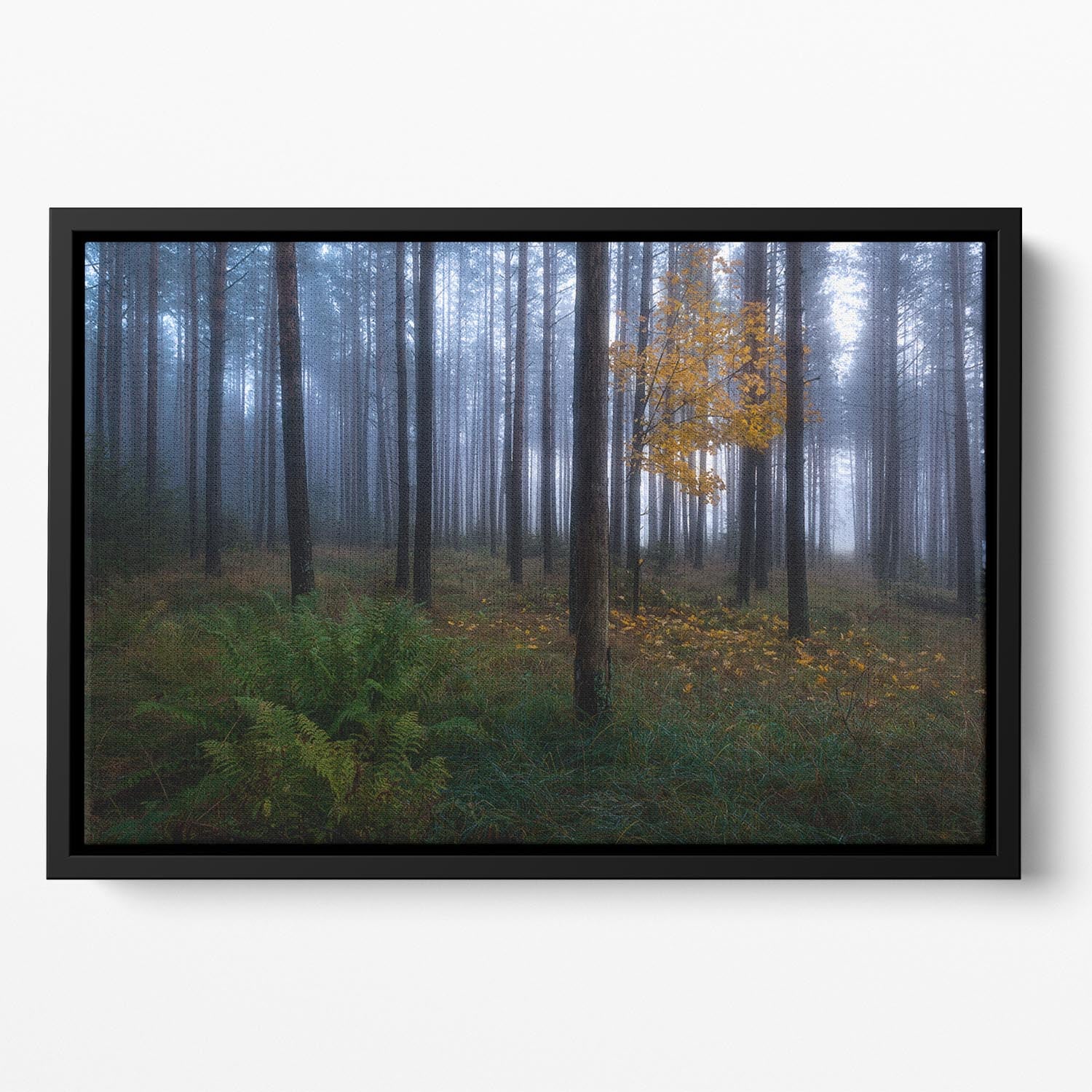 The Dark Light Floating Framed Canvas - Canvas Art Rocks - 2