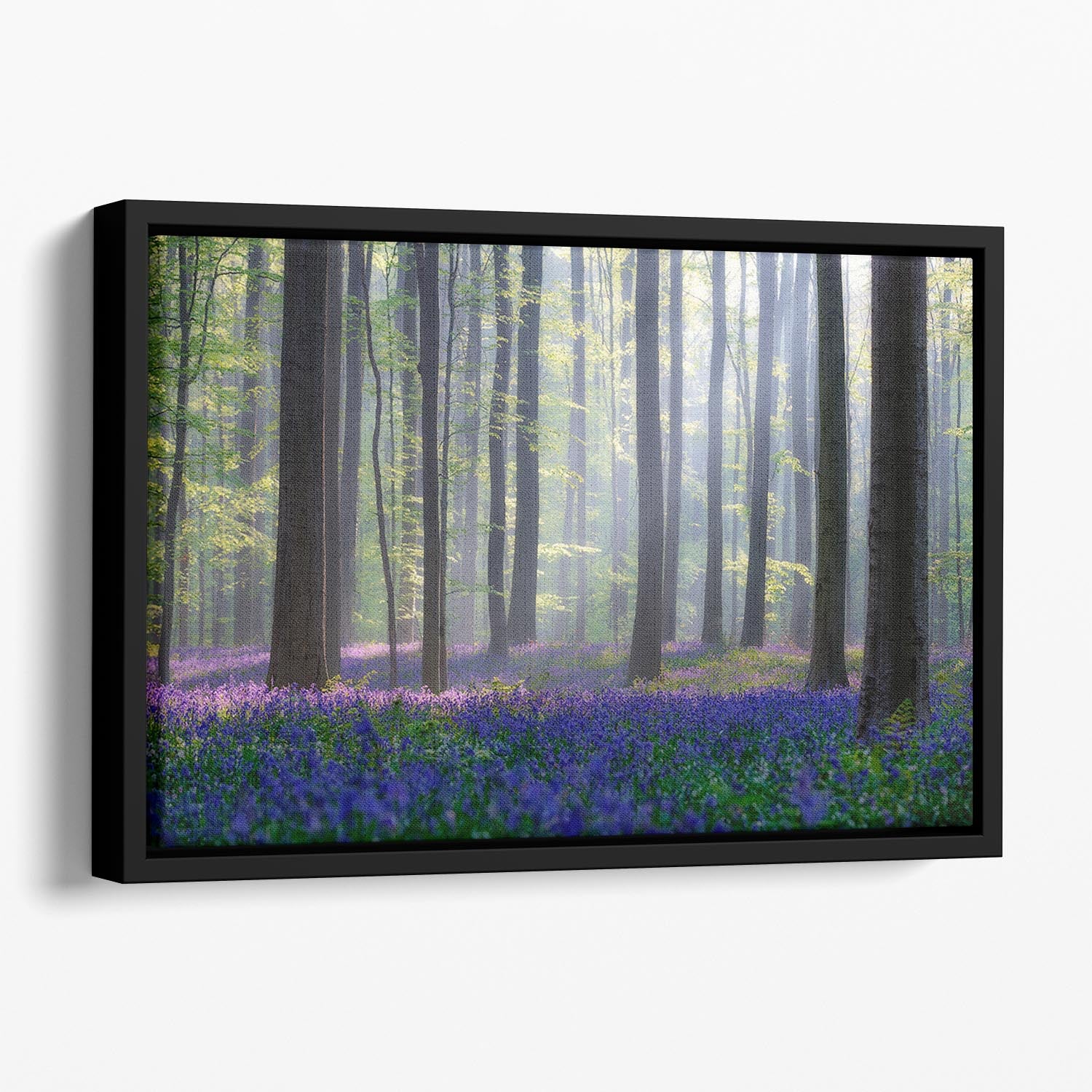 Bluebells Floating Framed Canvas - Canvas Art Rocks - 1