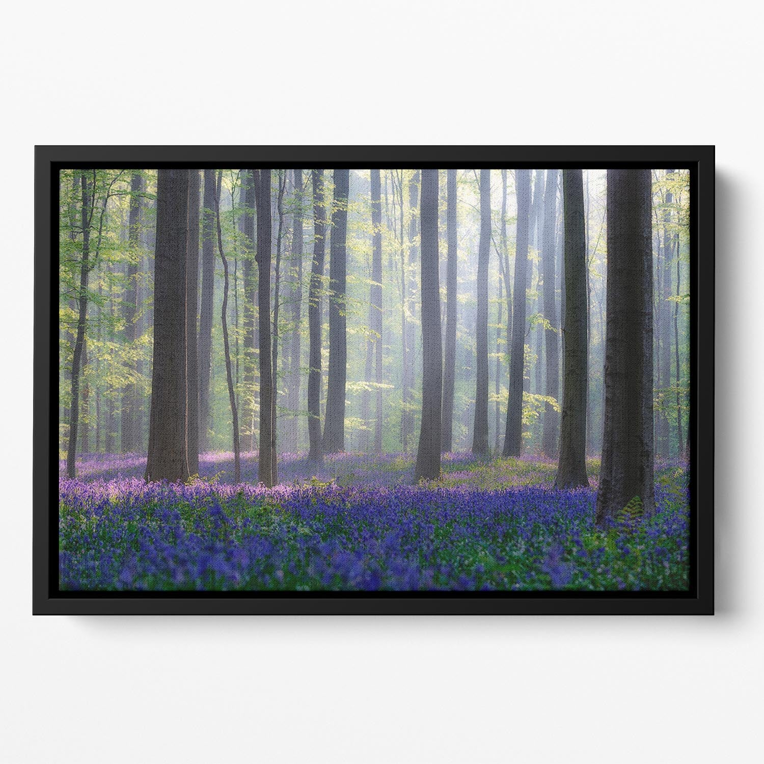 Bluebells Floating Framed Canvas - Canvas Art Rocks - 2