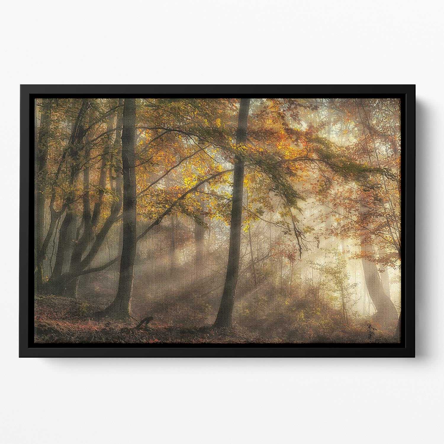 The Lights Of The Forest Floating Framed Canvas - Canvas Art Rocks - 2