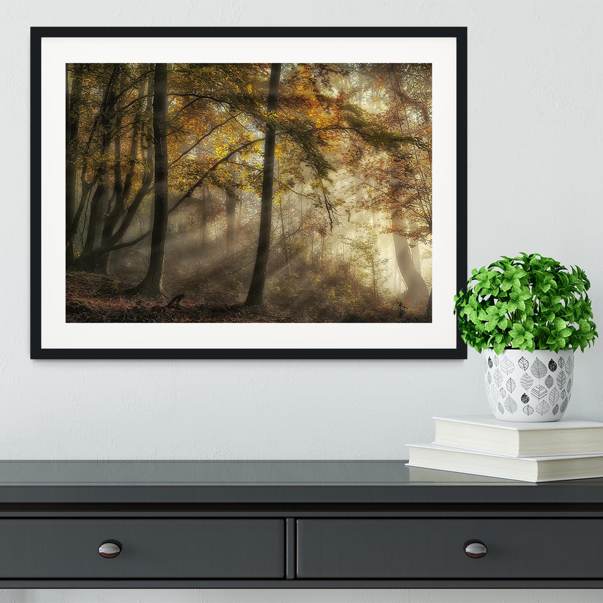 The Lights Of The Forest Framed Print - Canvas Art Rocks - 1