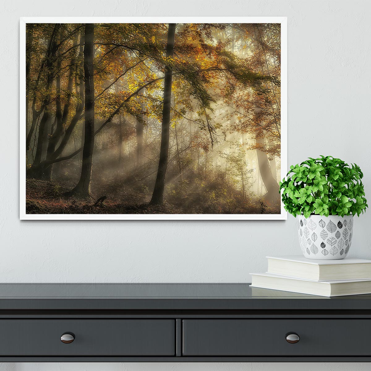 The Lights Of The Forest Framed Print - Canvas Art Rocks -6