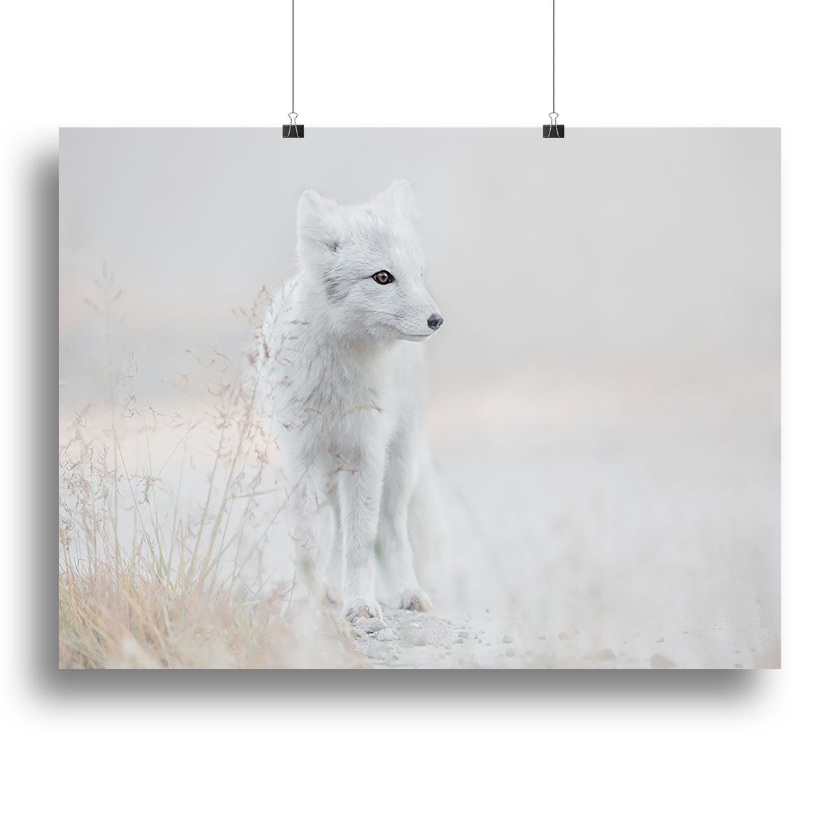 Fox Looking around Canvas Print or Poster - Canvas Art Rocks - 2