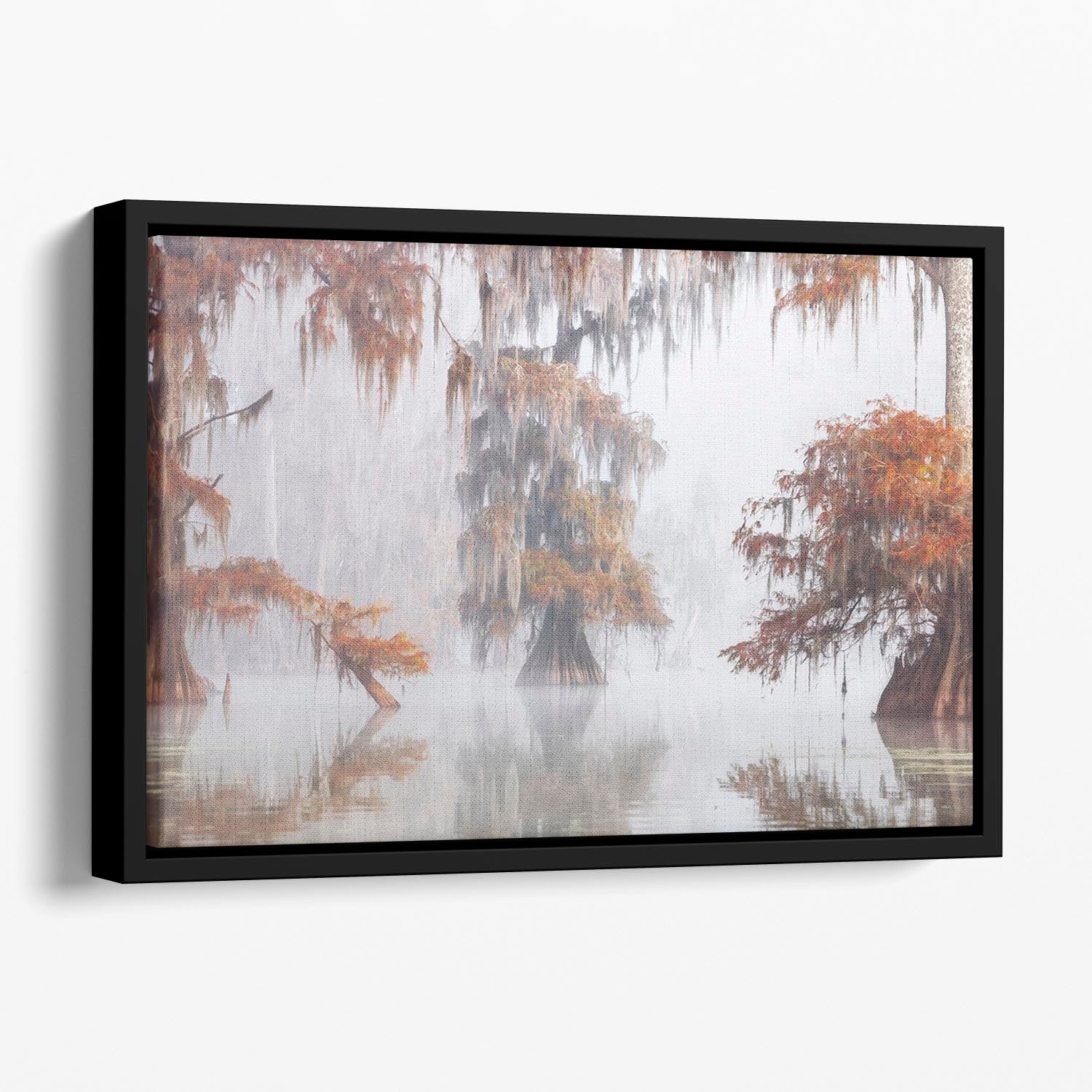 Mysty Bayou Floating Framed Canvas - Canvas Art Rocks - 1