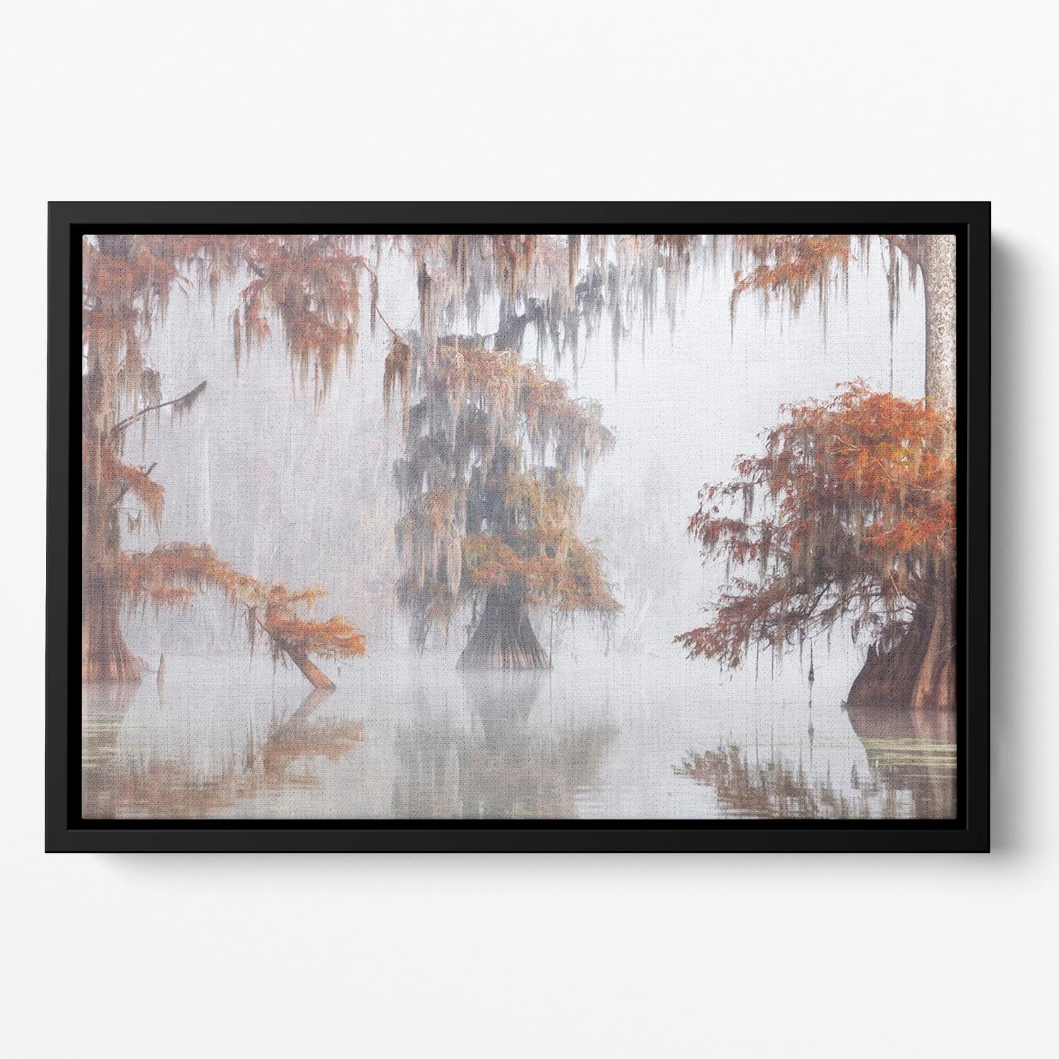 Mysty Bayou Floating Framed Canvas - Canvas Art Rocks - 2