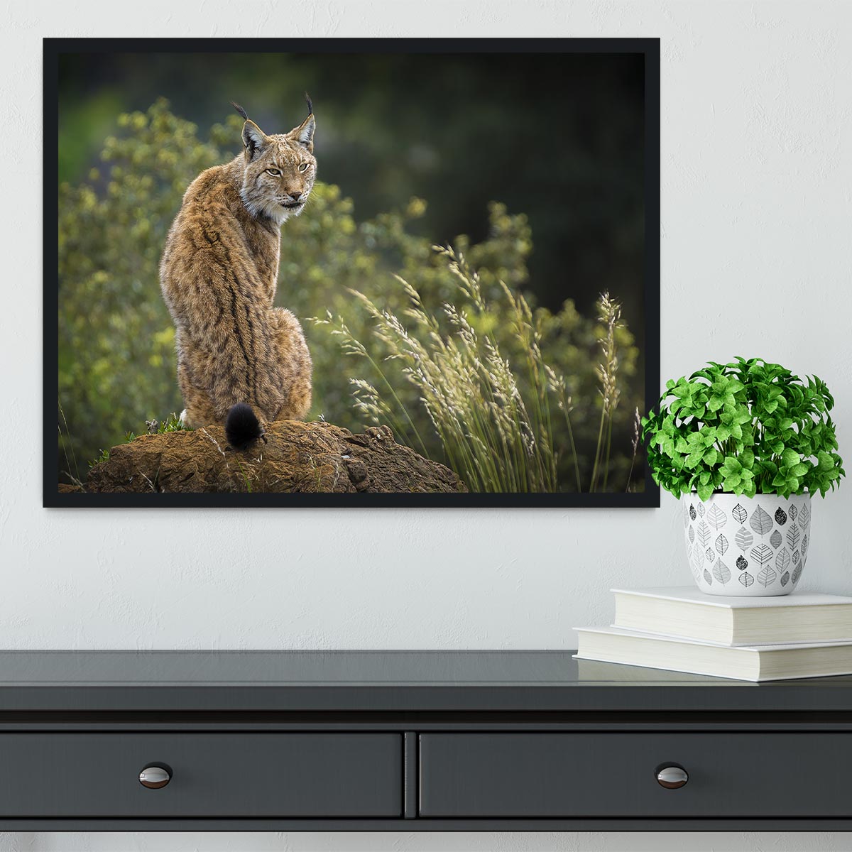 Lynx Framed Print - Canvas Art Rocks - 2