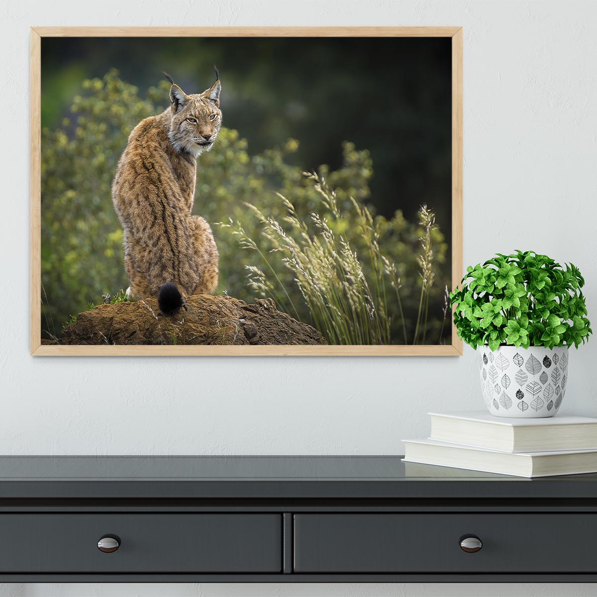 Lynx Framed Print - Canvas Art Rocks - 4