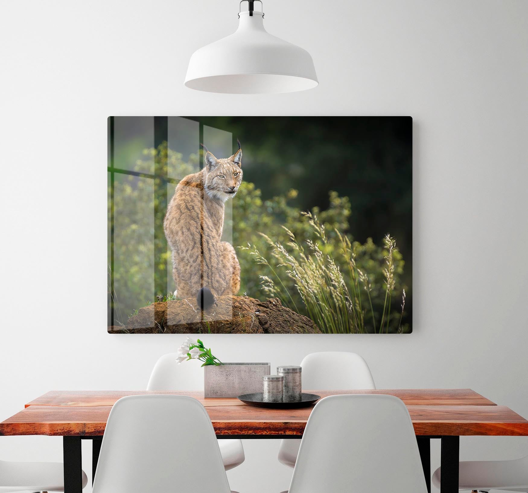 Lynx HD Metal Print - Canvas Art Rocks - 2