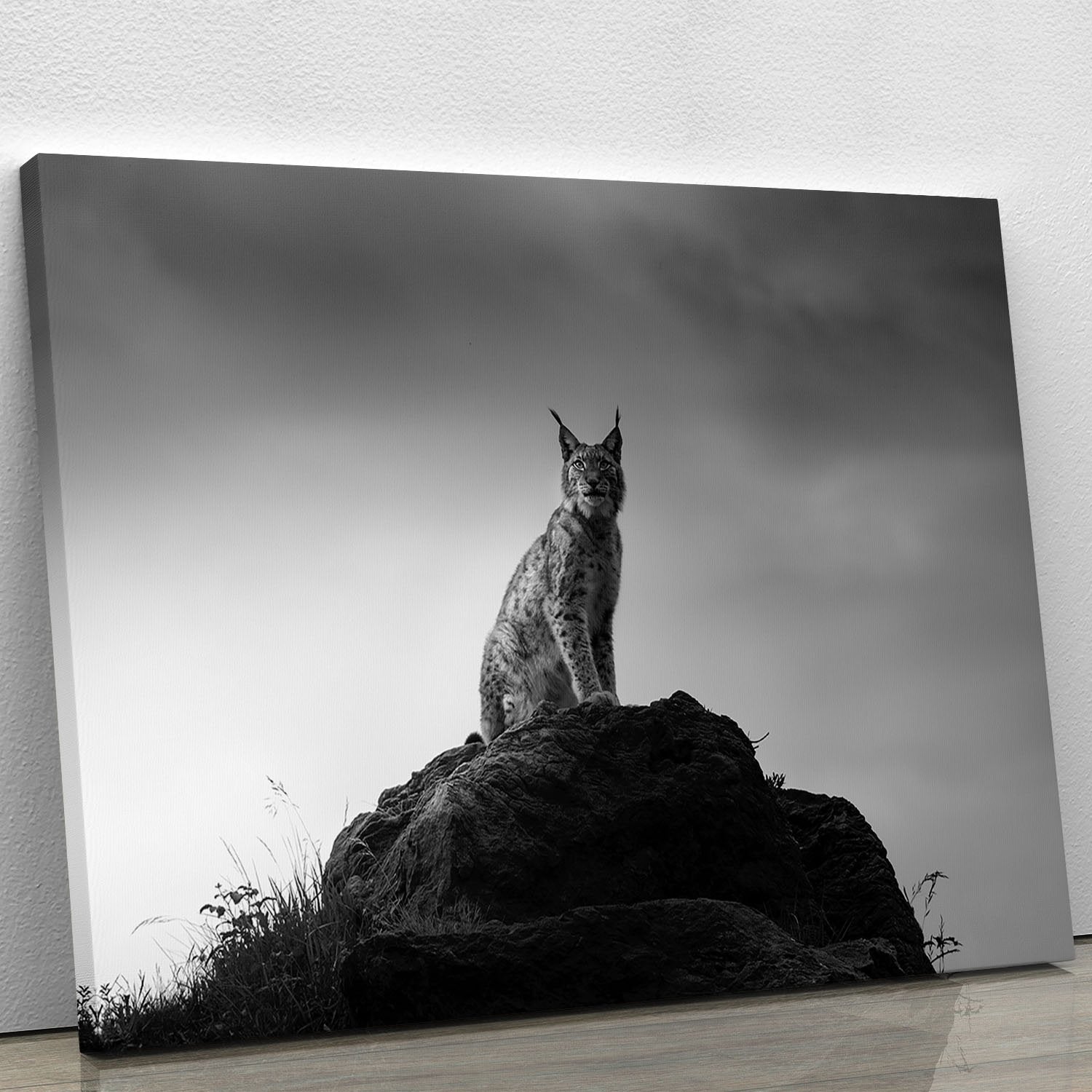 Lynx drama Canvas Print or Poster - Canvas Art Rocks - 1