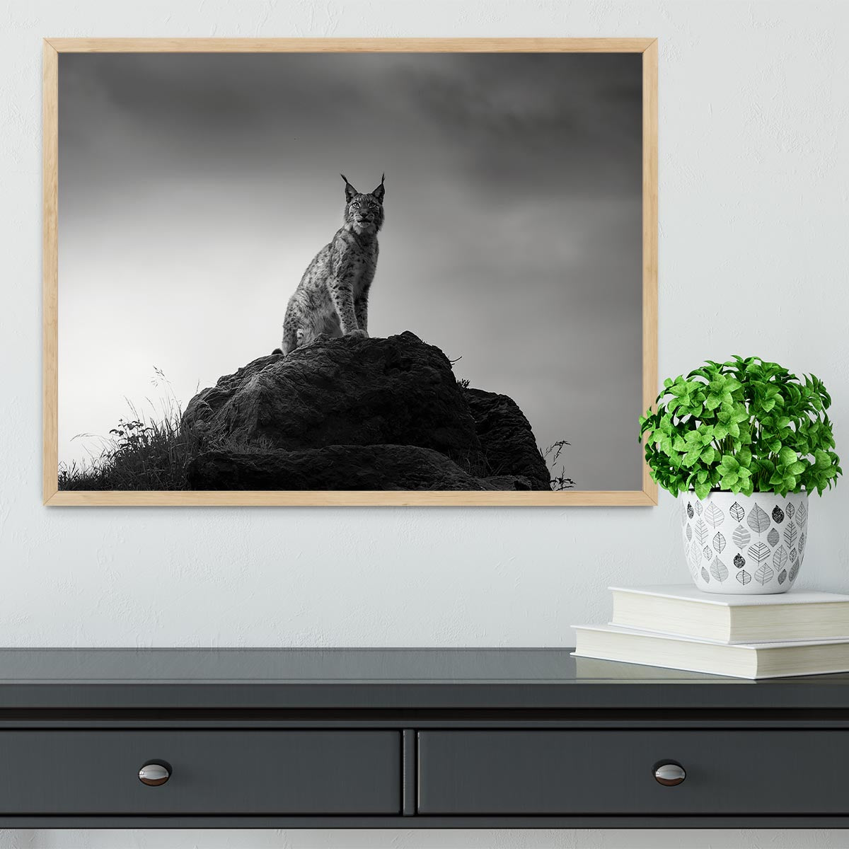 Lynx drama Framed Print - Canvas Art Rocks - 4