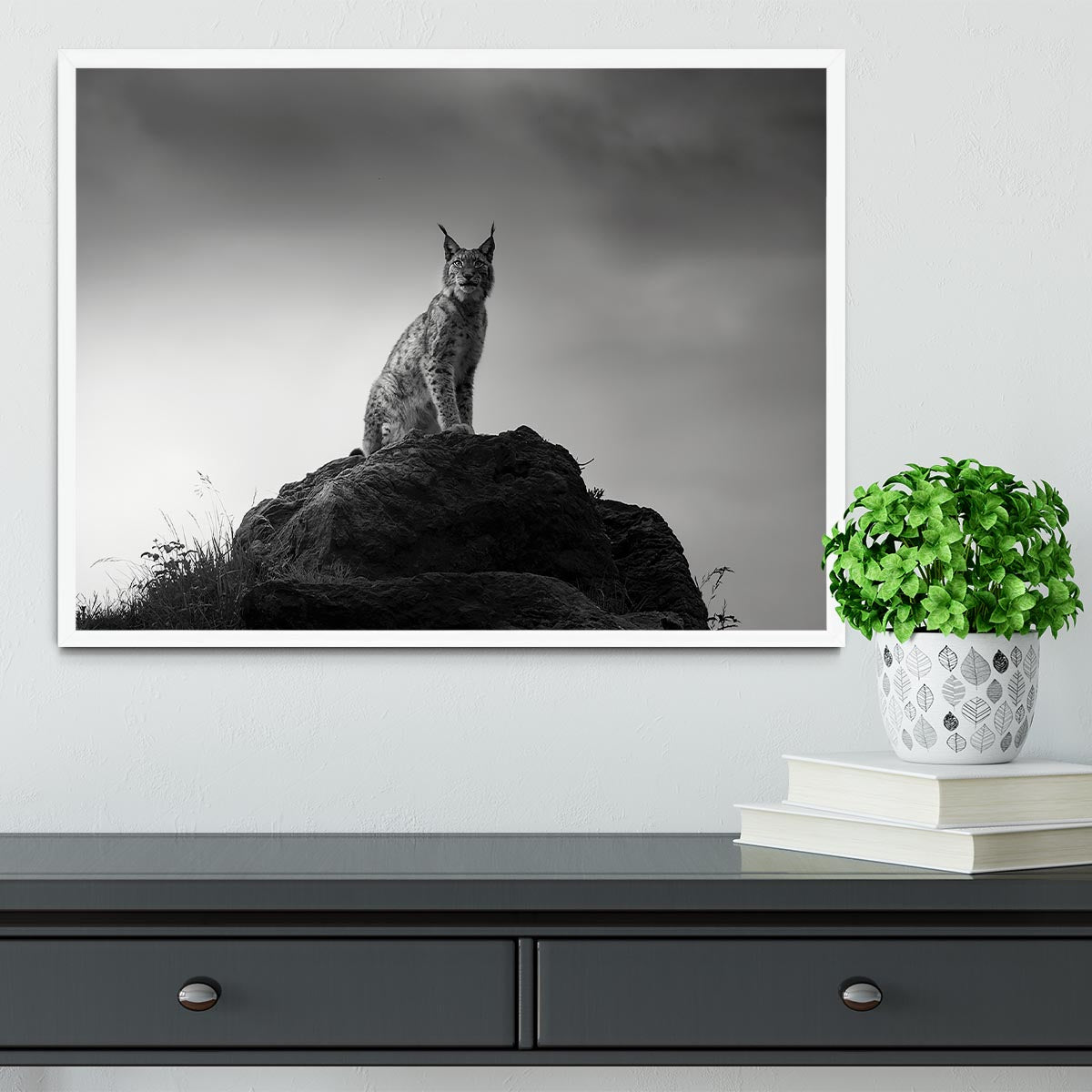 Lynx drama Framed Print - Canvas Art Rocks -6