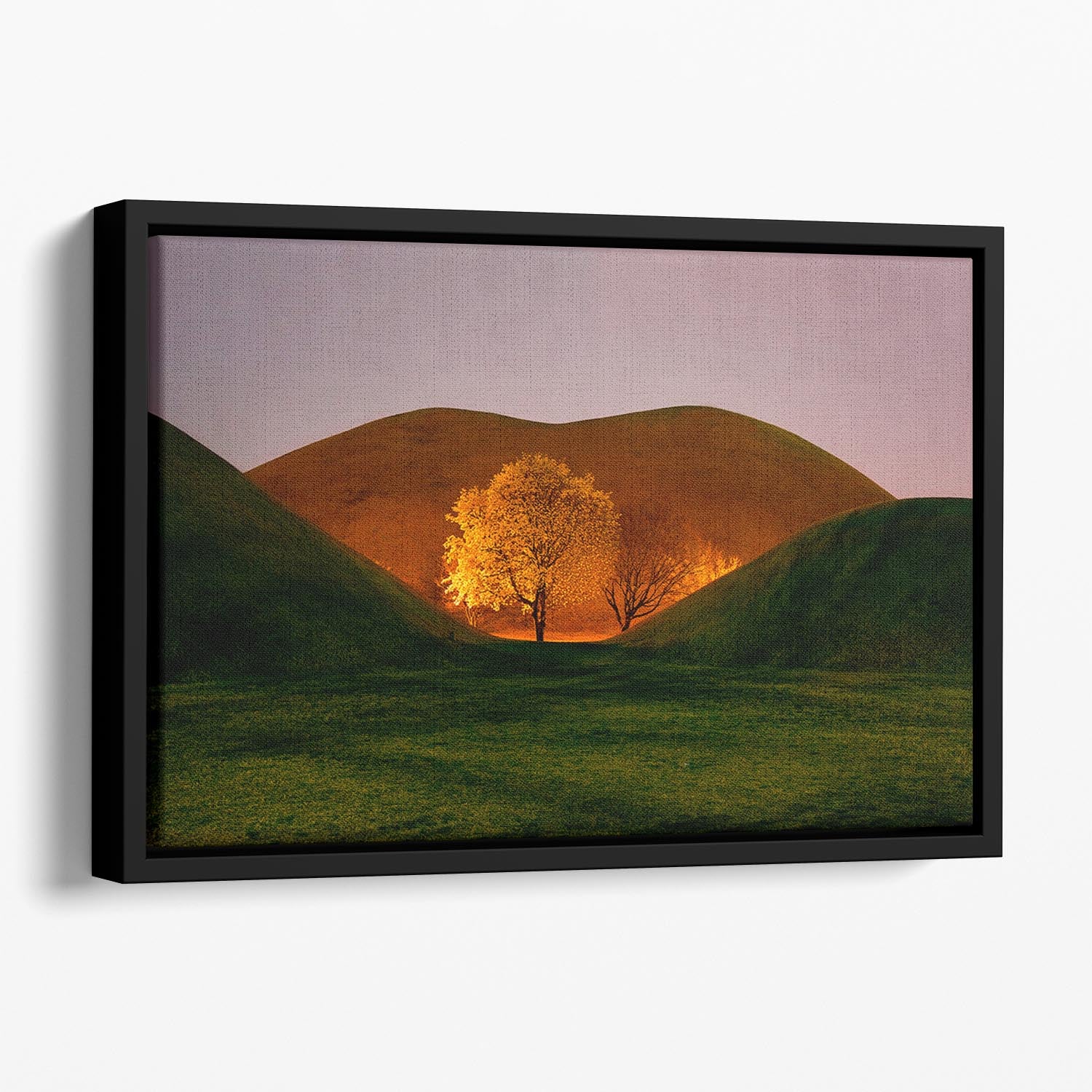 Magnolia Floating Framed Canvas - Canvas Art Rocks - 1