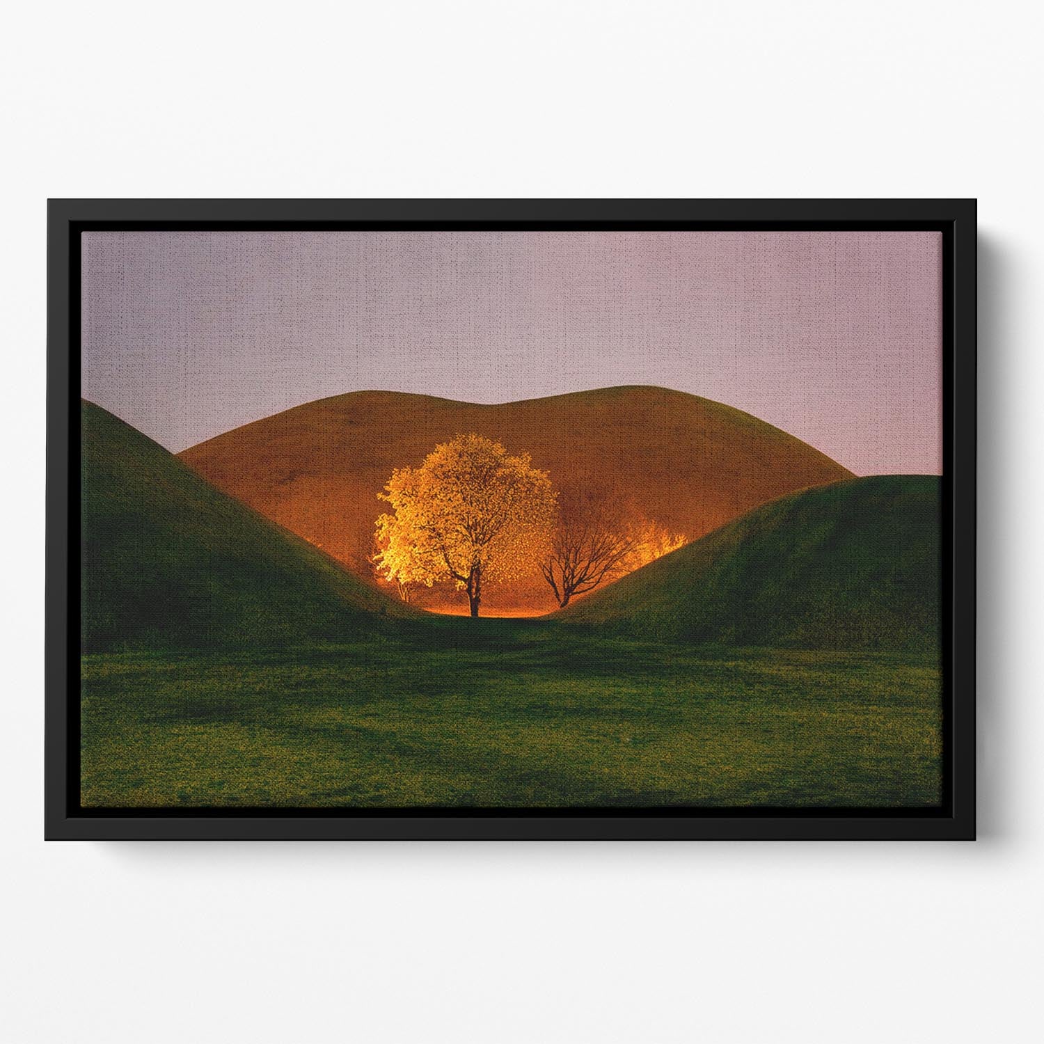 Magnolia Floating Framed Canvas - Canvas Art Rocks - 2