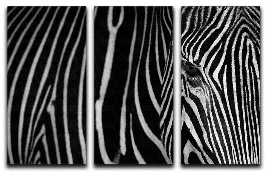 Zebra Pattern 3 Split Panel Canvas Print - Canvas Art Rocks - 1
