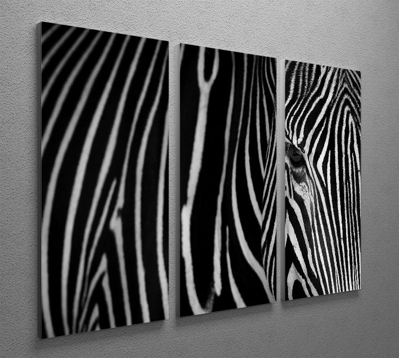 Zebra Pattern 3 Split Panel Canvas Print - Canvas Art Rocks - 2