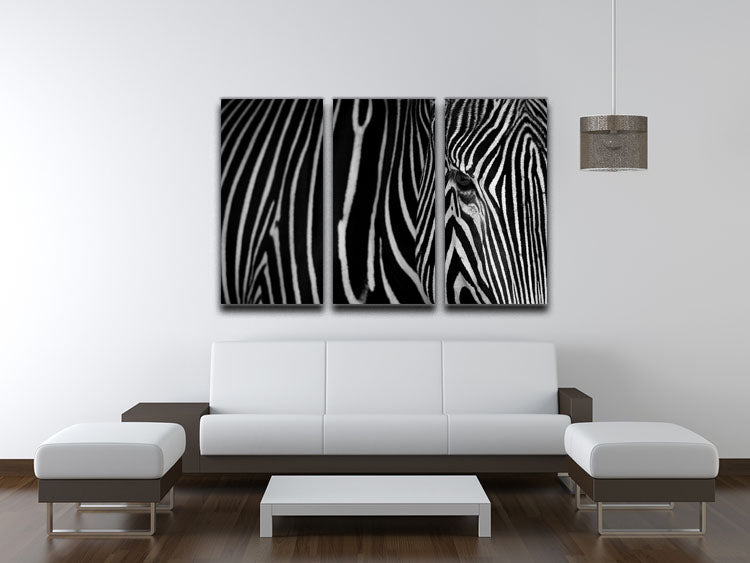 Zebra Pattern 3 Split Panel Canvas Print - Canvas Art Rocks - 3
