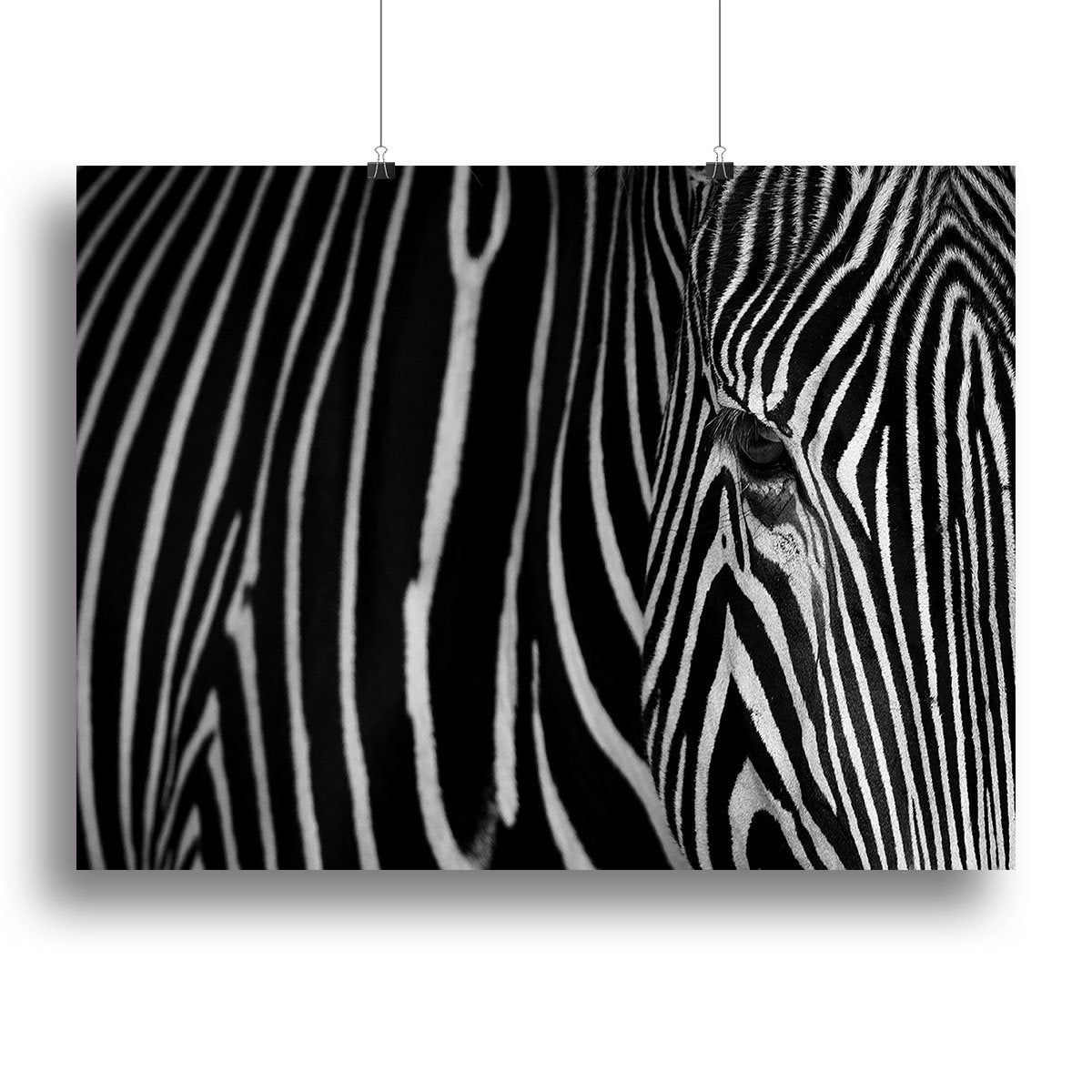 Zebra Pattern Canvas Print or Poster - Canvas Art Rocks - 2
