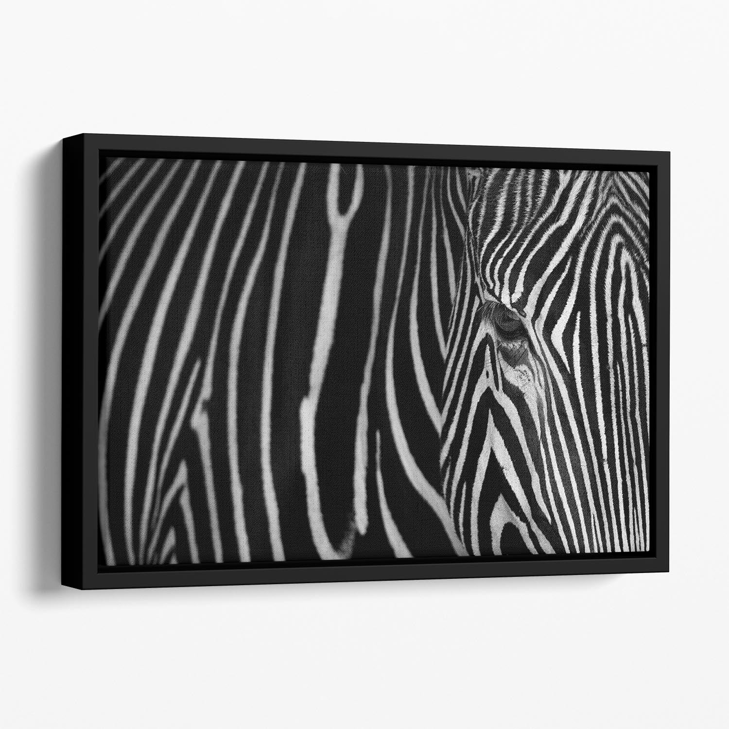 Zebra Pattern Floating Framed Canvas - Canvas Art Rocks - 1