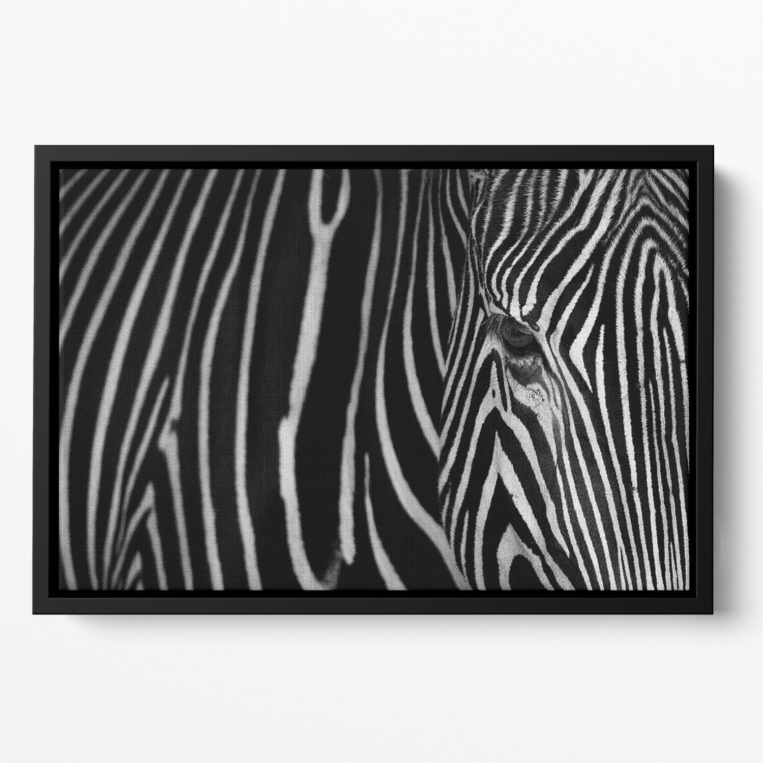 Zebra Pattern Floating Framed Canvas - Canvas Art Rocks - 2