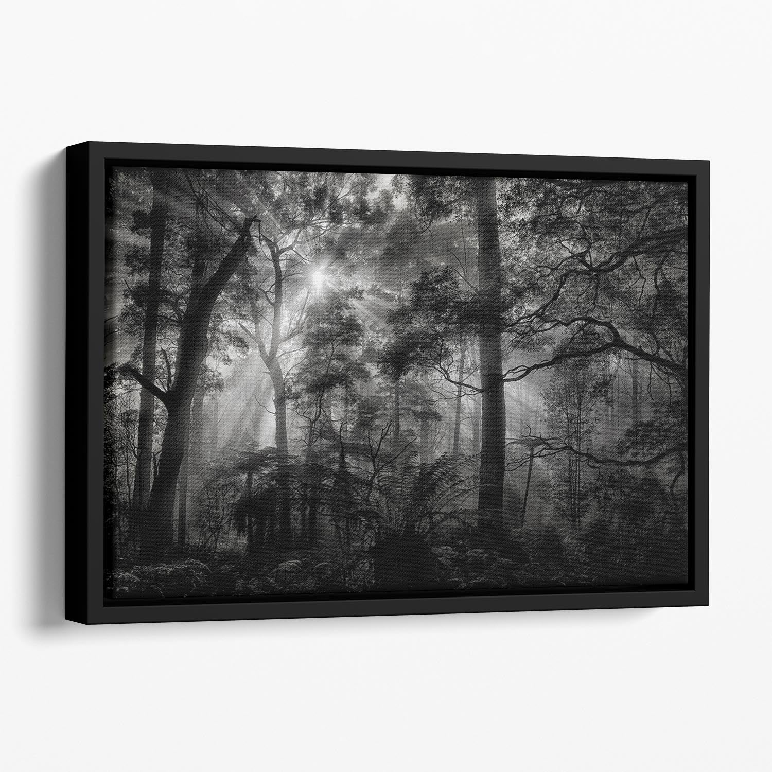 Primary Forest Floating Framed Canvas - Canvas Art Rocks - 1